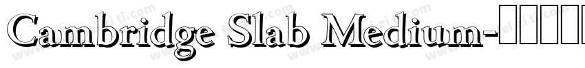 Cambridge Slab Medium字体转换